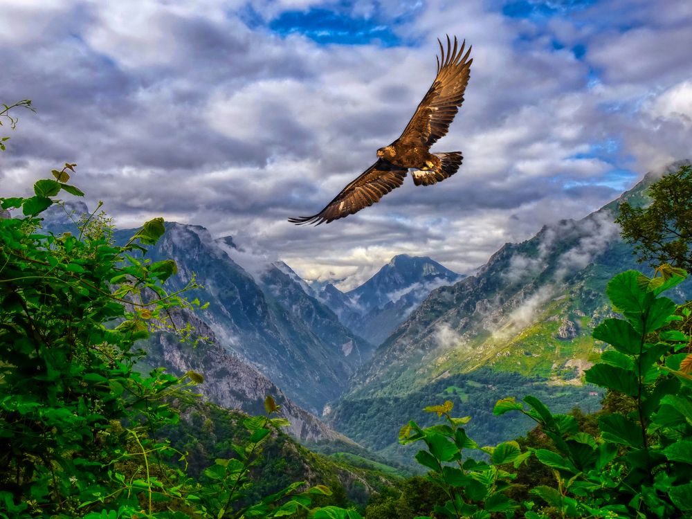 Asturies -  valle del Ponga Picos de Europa