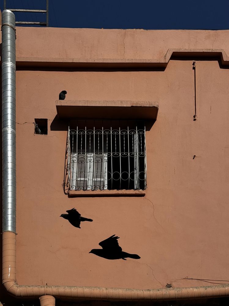 Photograph by Ирина Сатырь