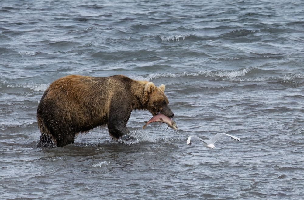 Photograph by Галина Павлова