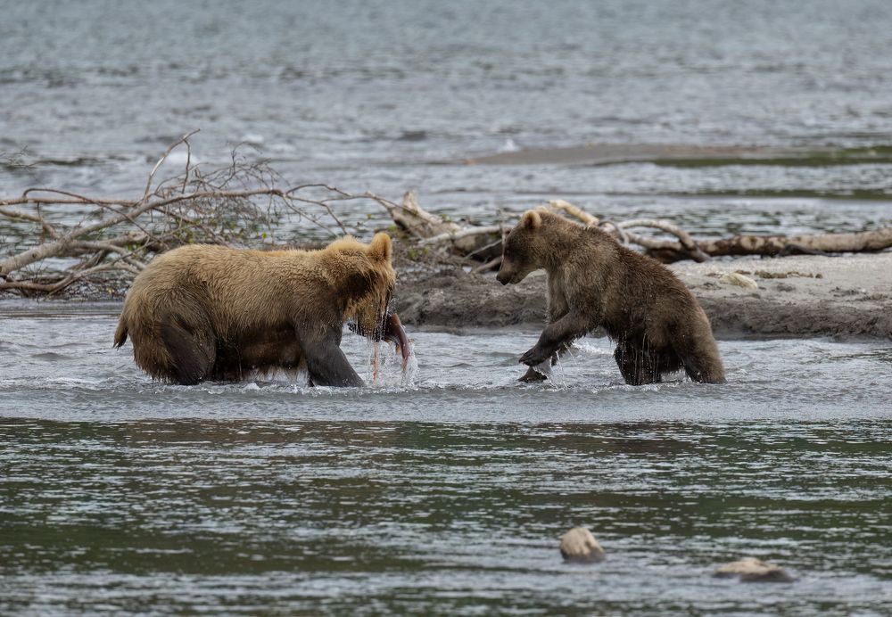 Photograph by Галина Павлова