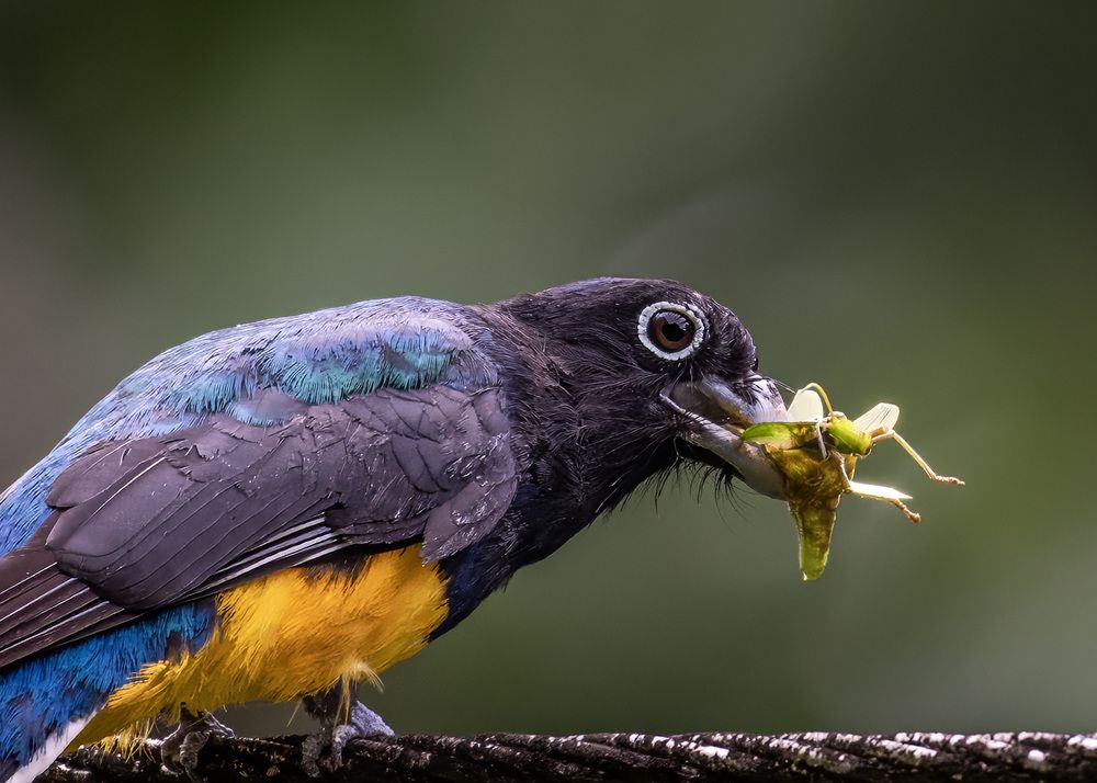 Photograph by Rose-Anne Reyes