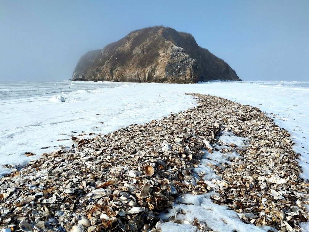 Photograph by Пальшенцева Анна