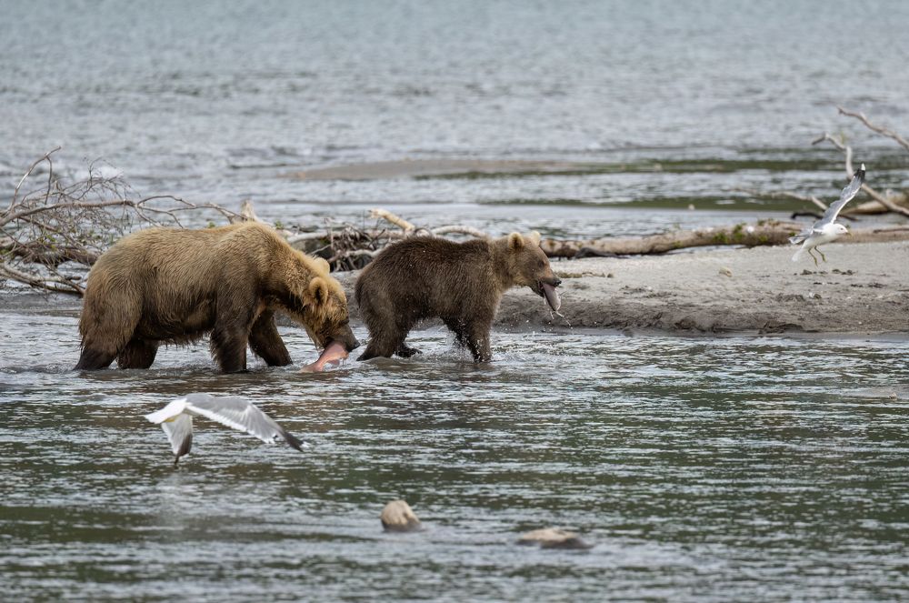 Photograph by Галина Павлова