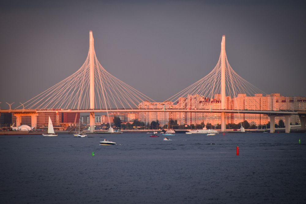 Photograph by Elvira