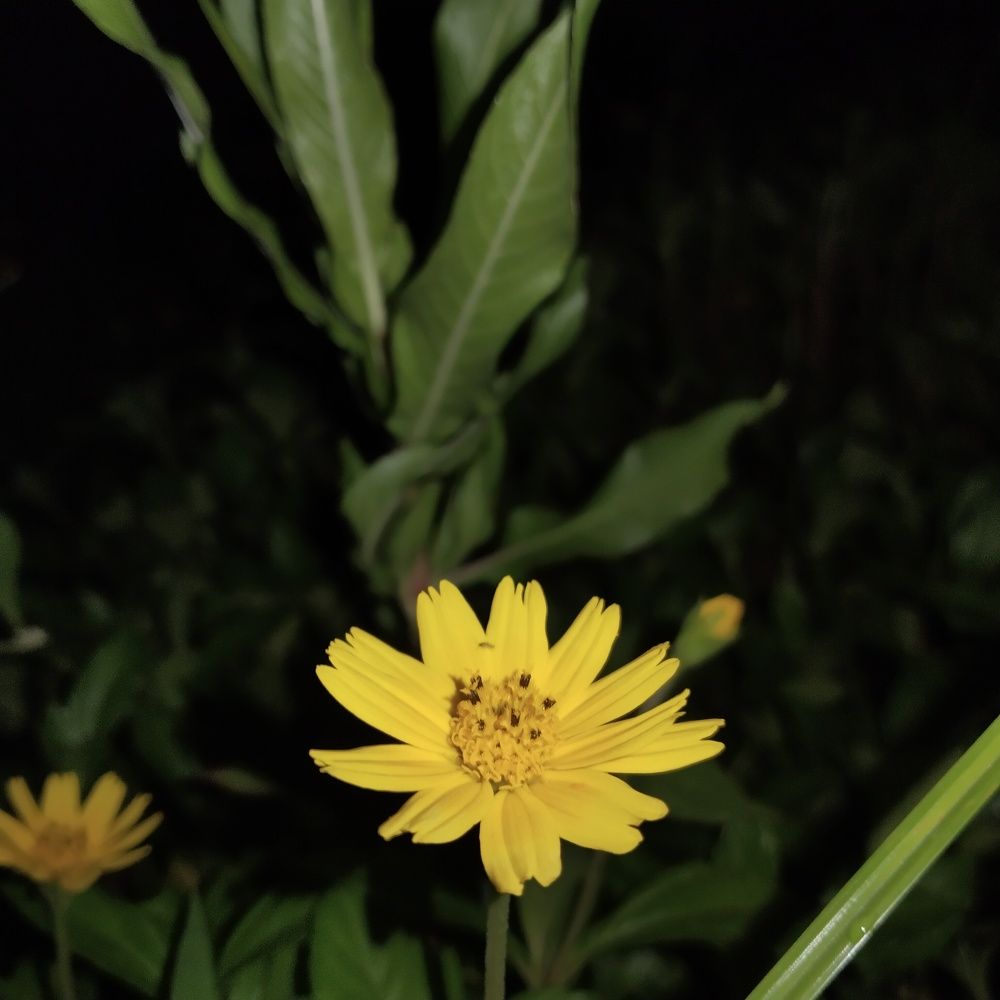 Photograph by Varsha Gatti