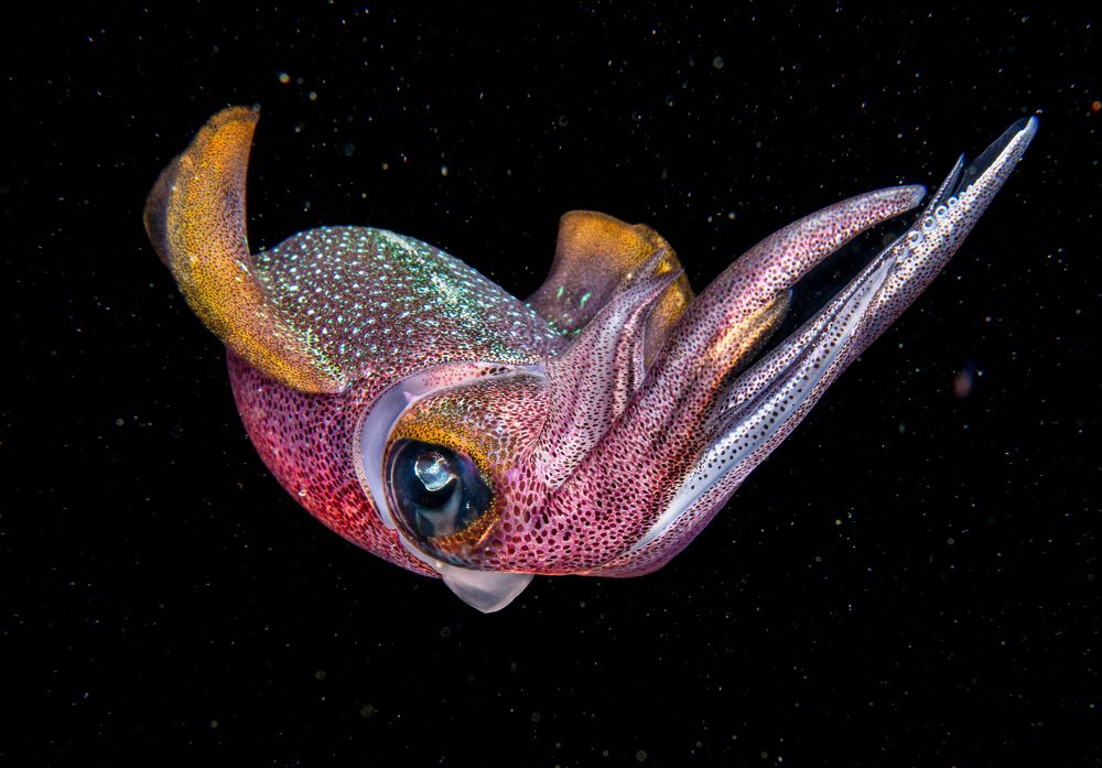 Photograph by Magali Márquez