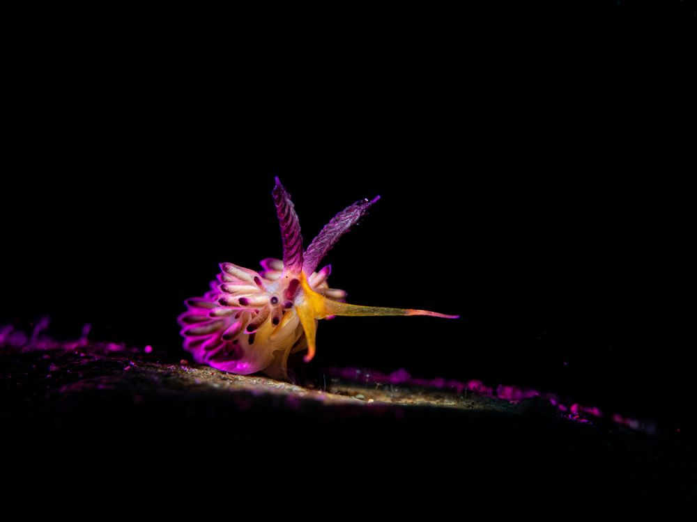 Photograph by Magali Márquez