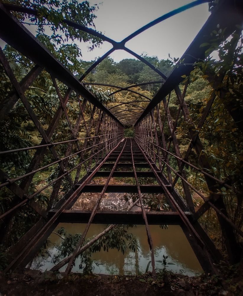 Photograph by lahiru sandaruwan