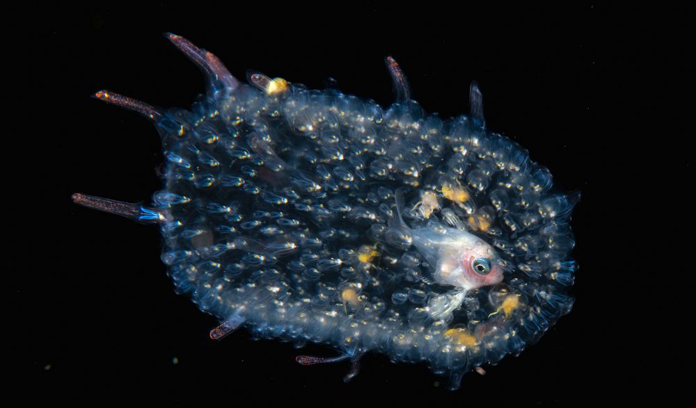 Photograph by Magali Márquez