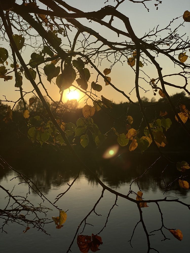 Photograph by Артем Логинов