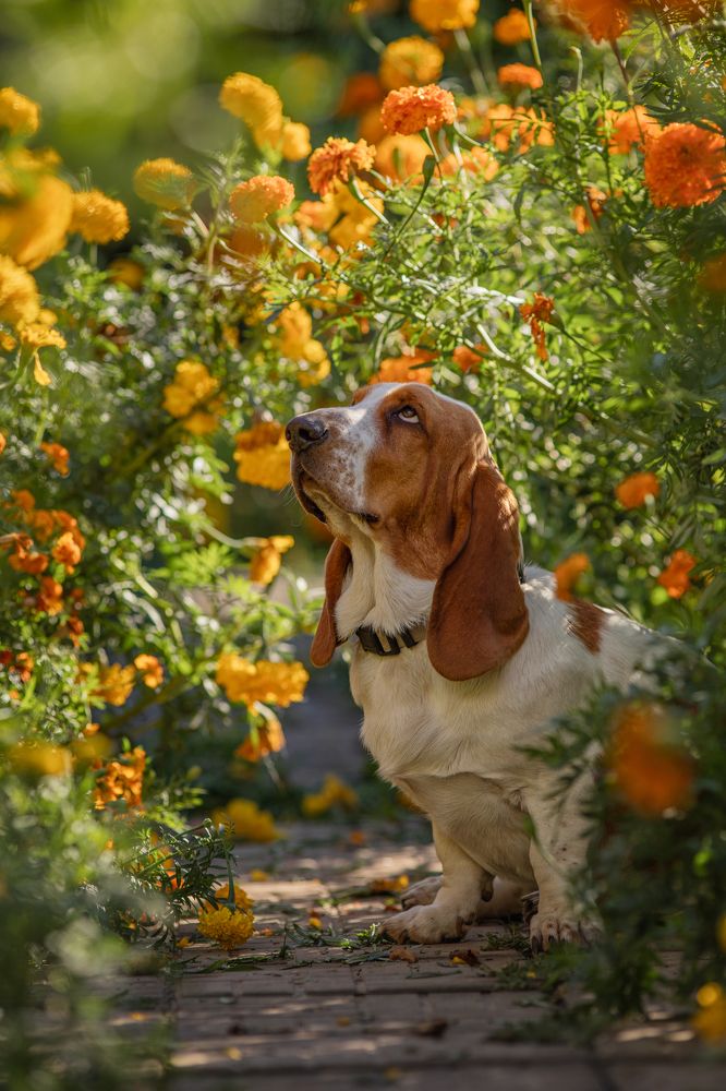 Photograph by Софья Сагитова