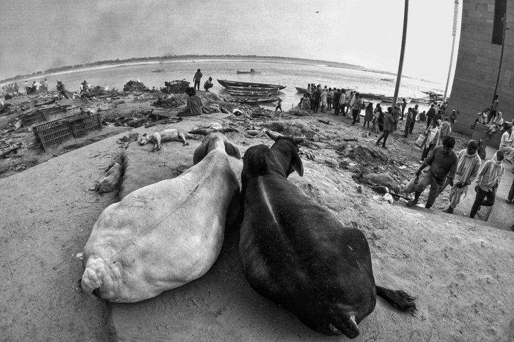 Фотография автора Sandeep Patel