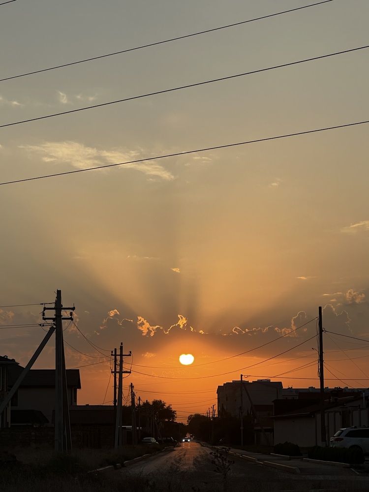 Фотография автора Мария Дмитриева