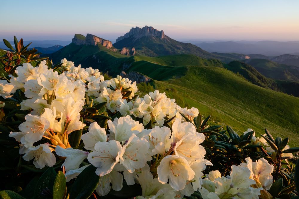 Photograph by Шишкалов Константин