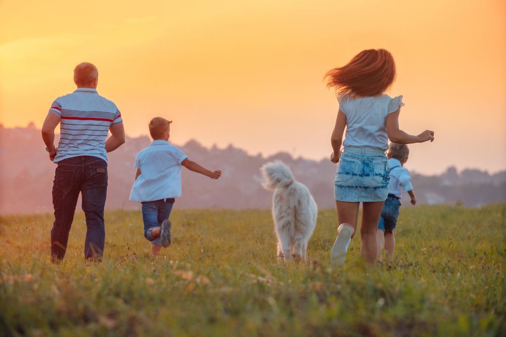 Photograph by Екатерина Степоненкова