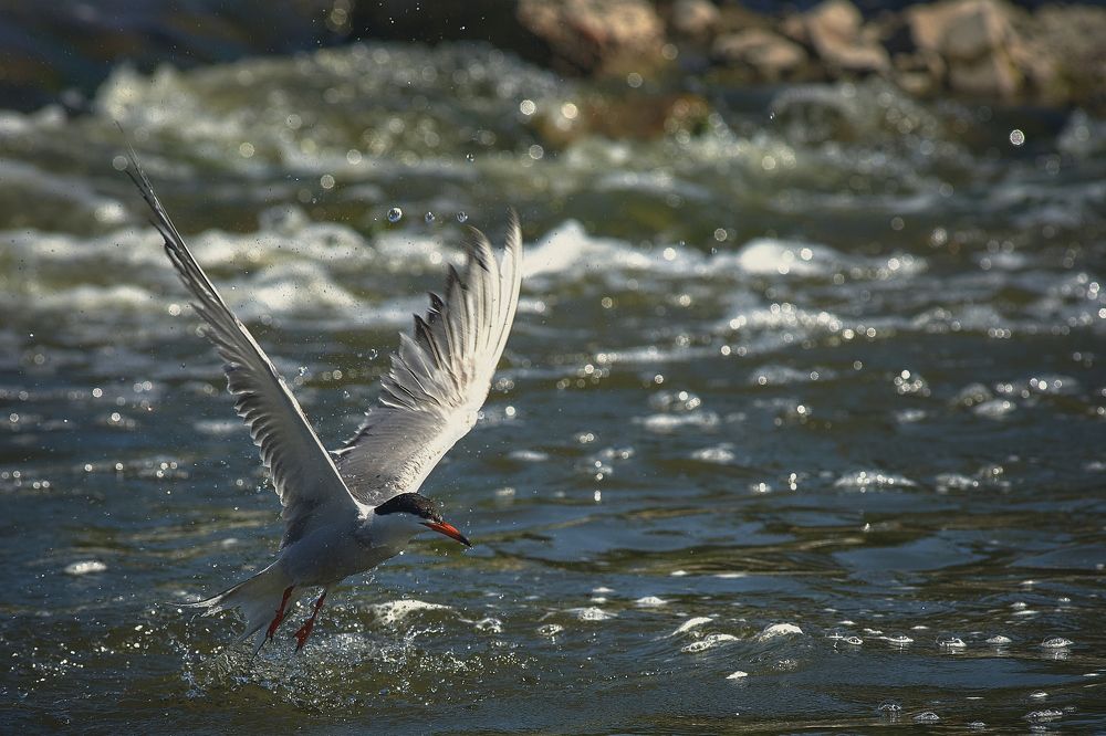 Photograph by Adil Kuandykov