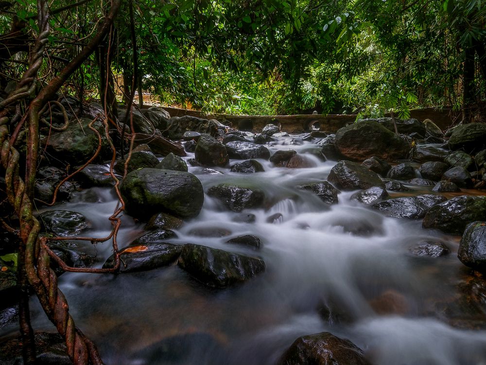 Photograph by M.Maleesha Sathsara Perera