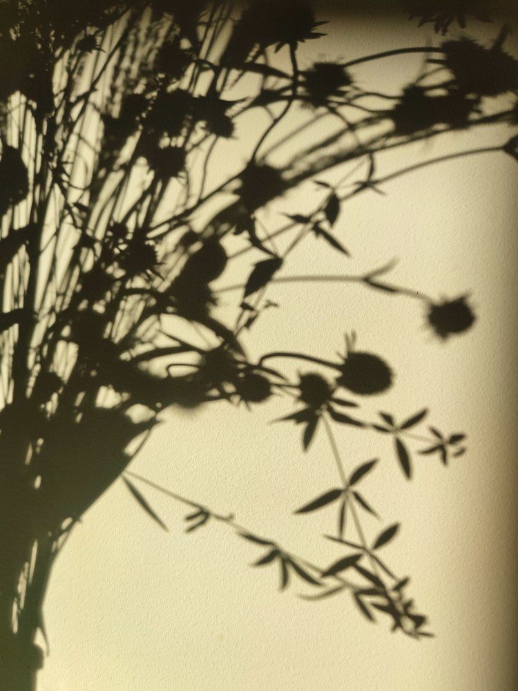 Фотография автора Ольга Дорогина