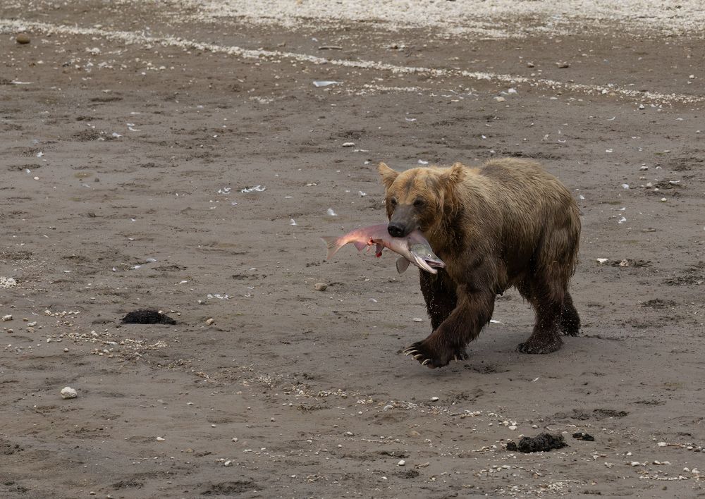 Photograph by Галина Павлова