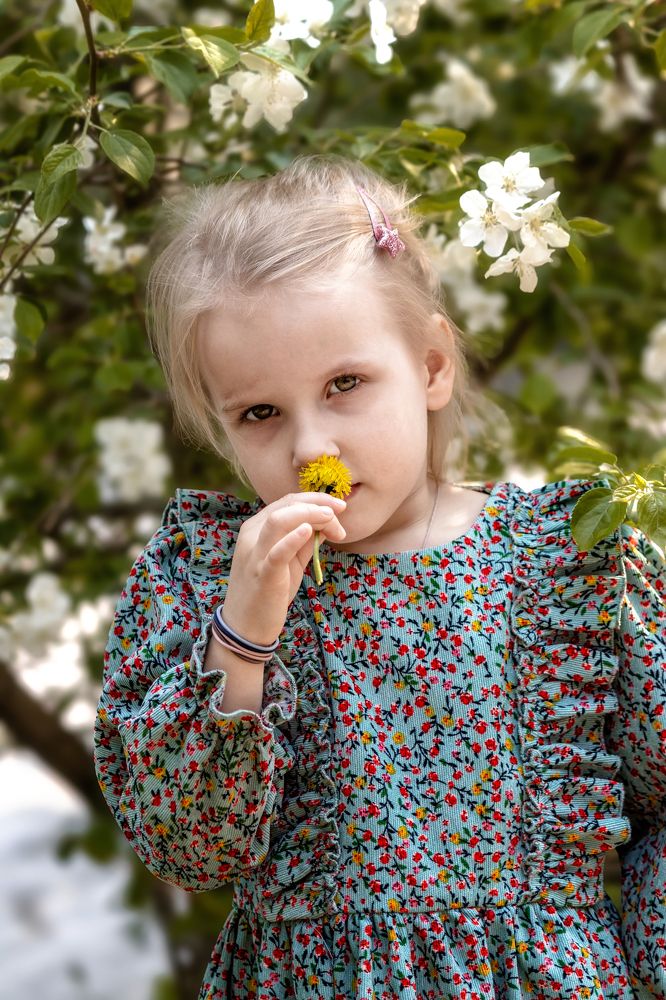 Фотография автора Максим Мухин