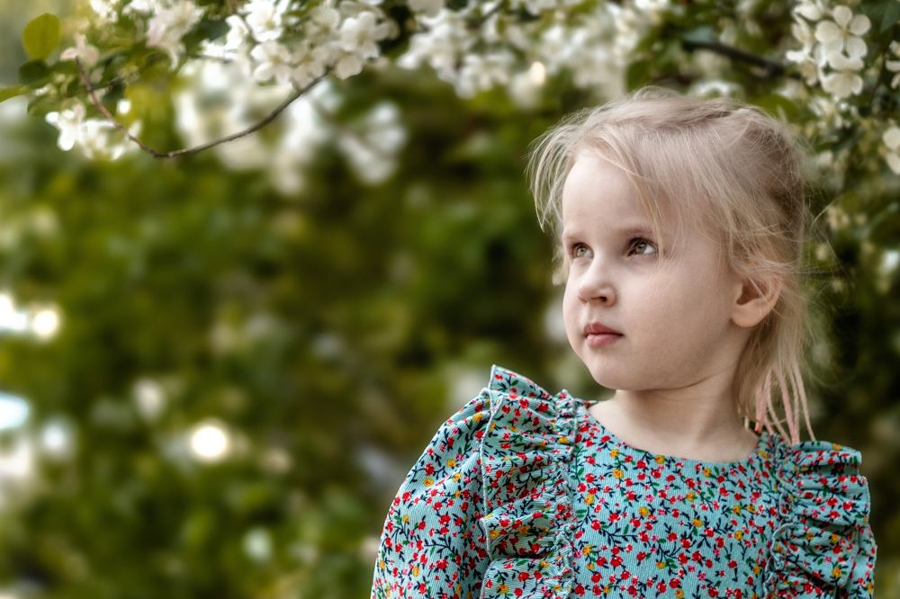 Фотография автора Максим Мухин