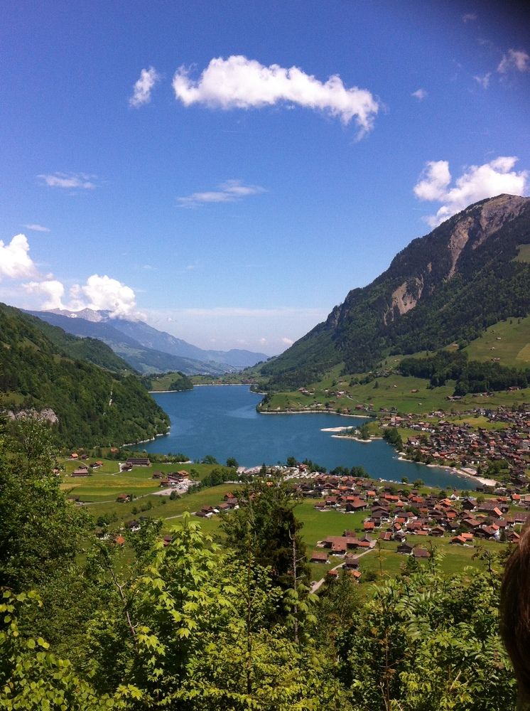 Фотография автора Елена Александрова