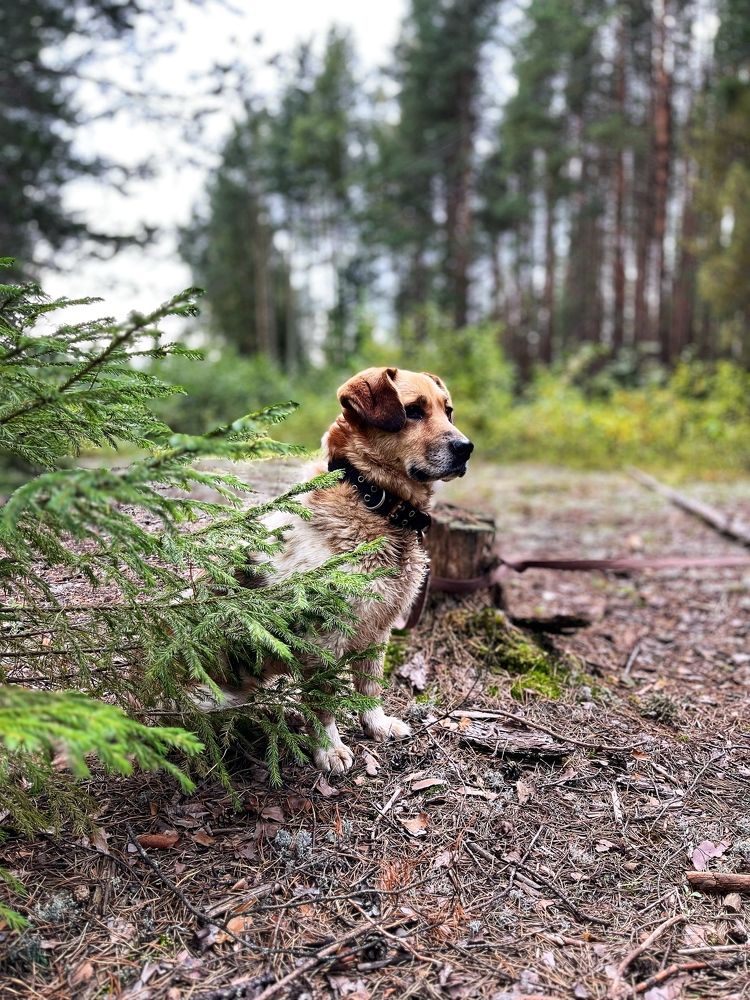 Photograph by Ирина Селиверстова