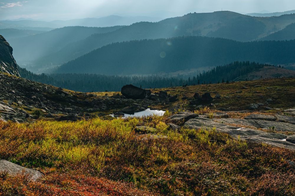 Фотография автора Дмитрий Ширнин