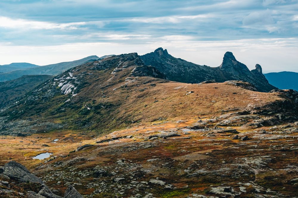 Фотография автора Дмитрий Ширнин