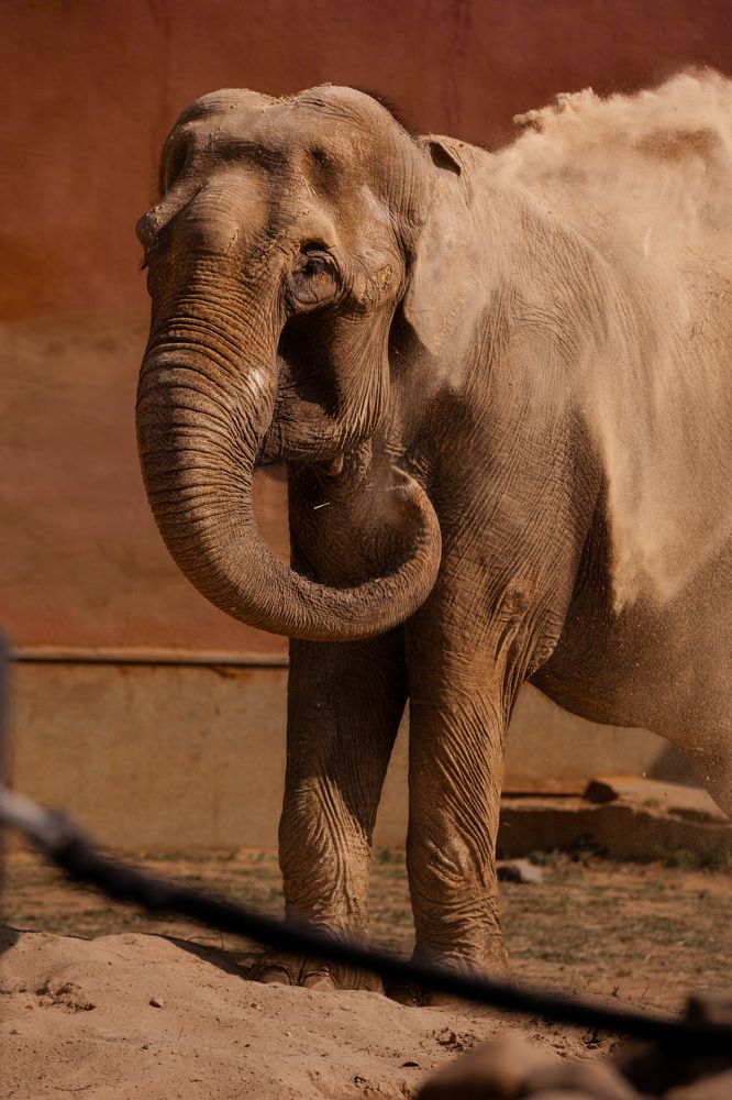 Фотография автора Ирина Шестакова