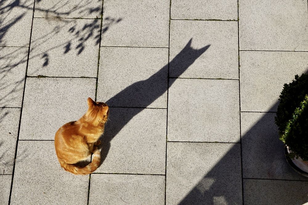 Фотография автора Liudmila Kiermeier