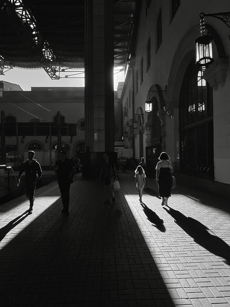 Photo #11009475