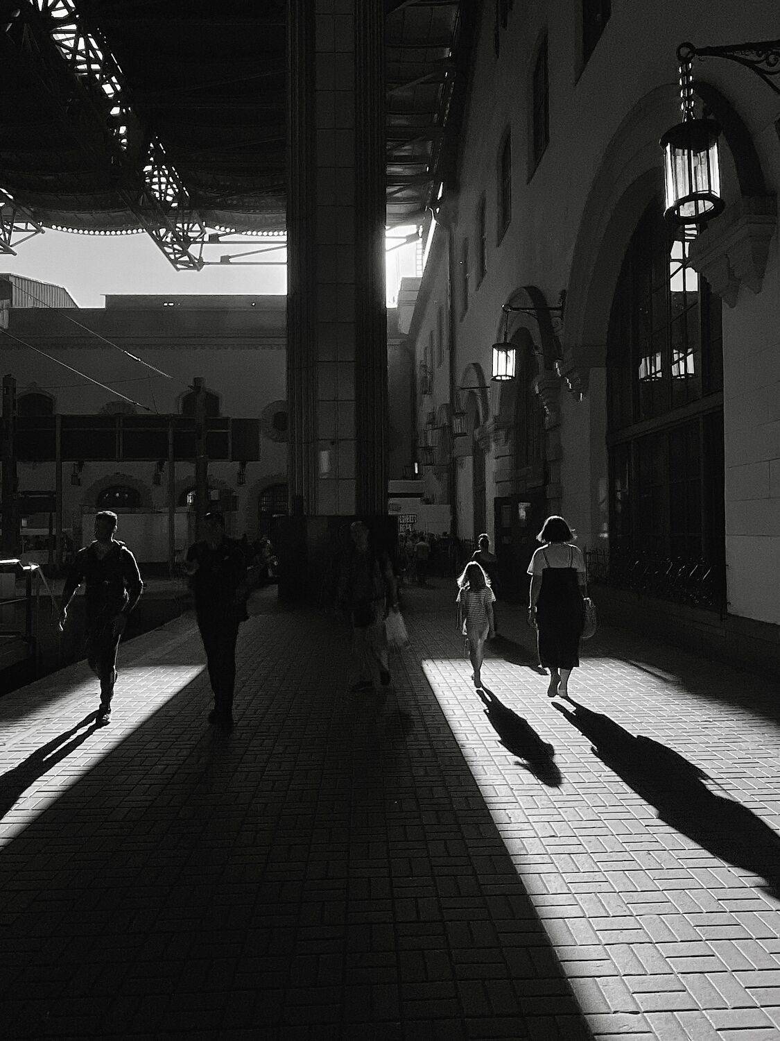 Photo #11009475