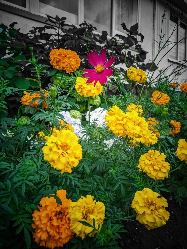 Photograph by Олега Тор