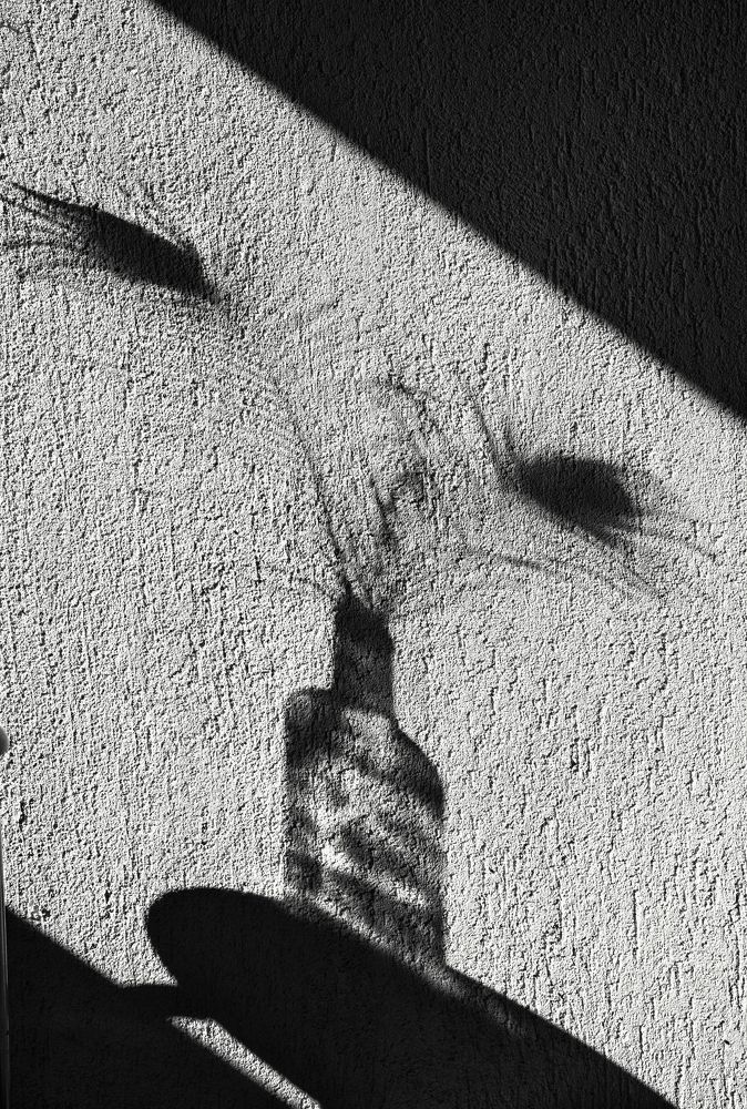 Photograph by Ivars Skudra