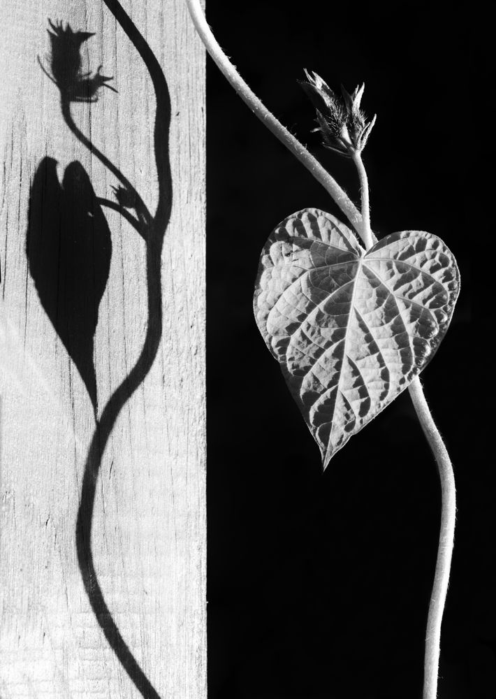 Фотография автора Ivars Skudra