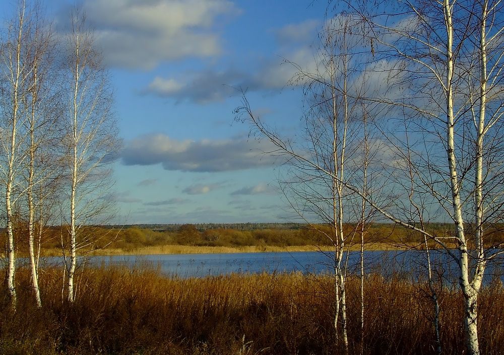 Photo #11009541