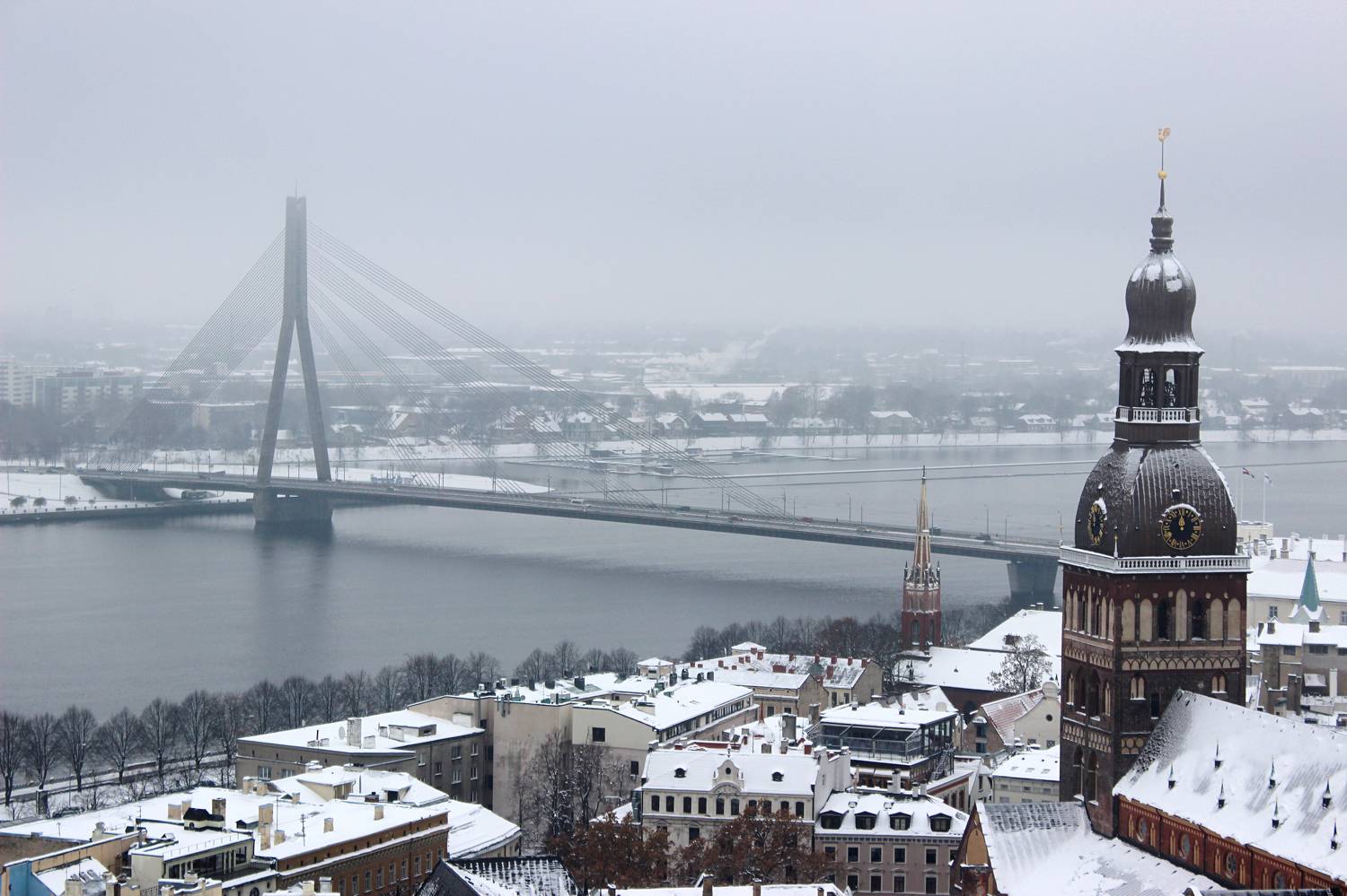 Photo #11009577