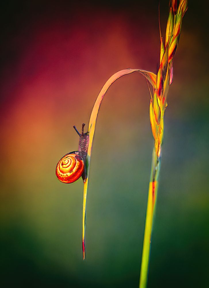 Photograph by Владимир