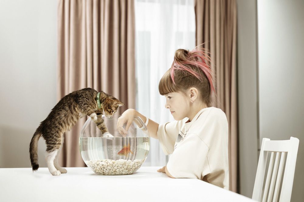 Photograph by Станислав Солнцев