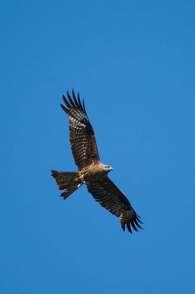 Photograph by Самосудов Рустам