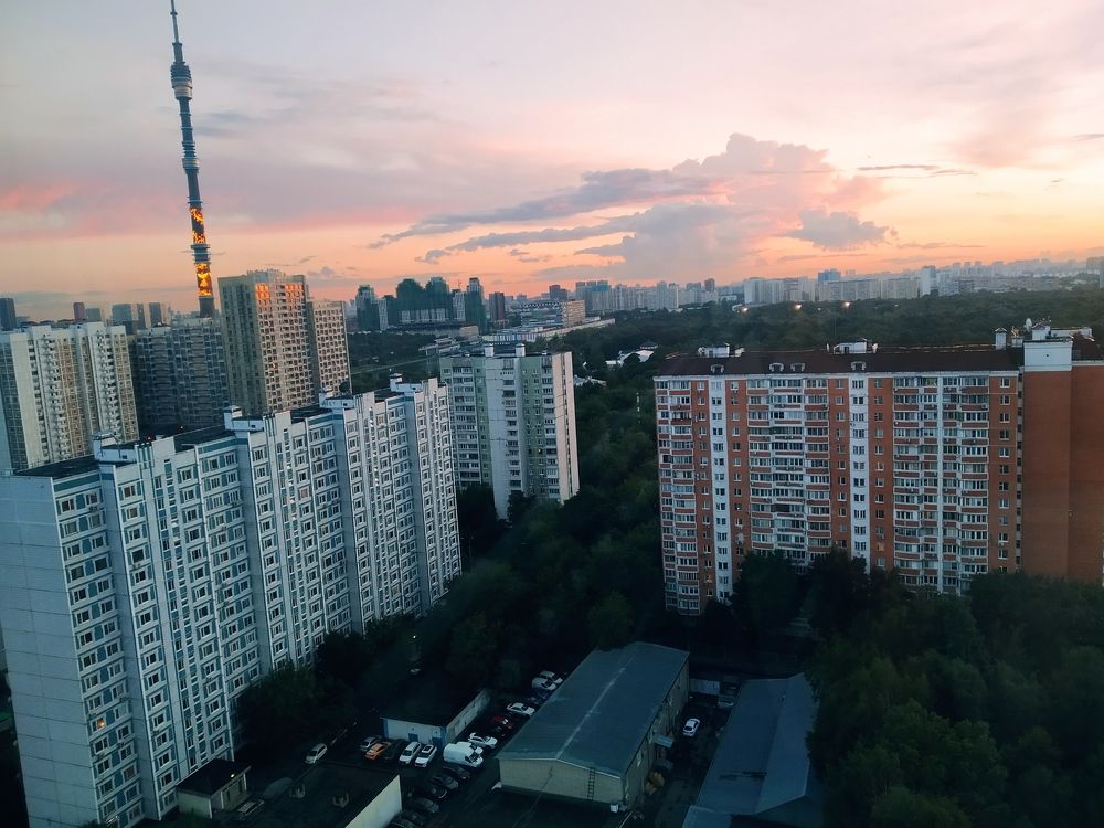 Photo #11009675