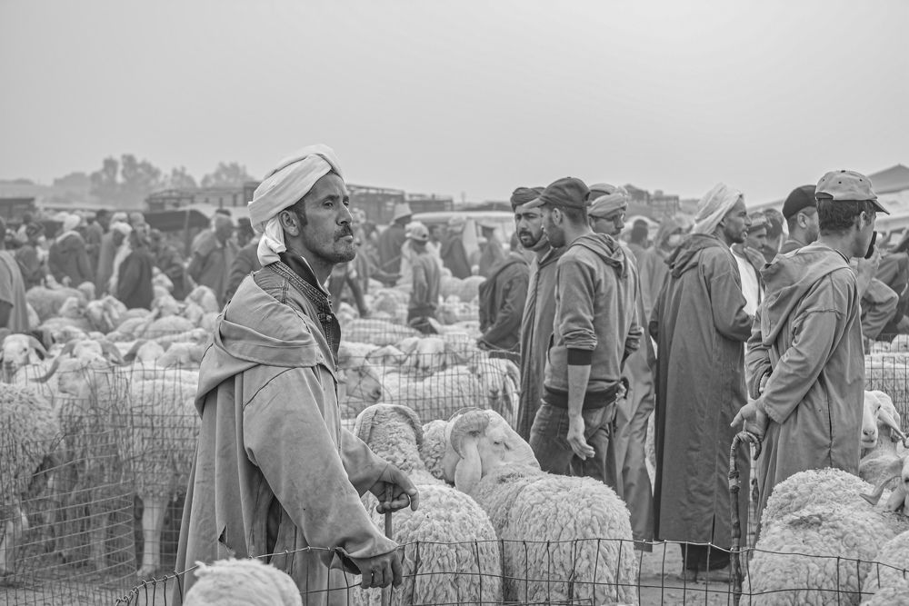 Фотография автора Bachir Rabouh