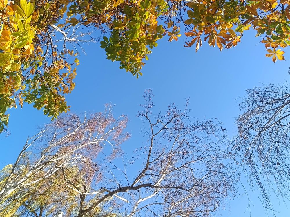 Осенняя пора