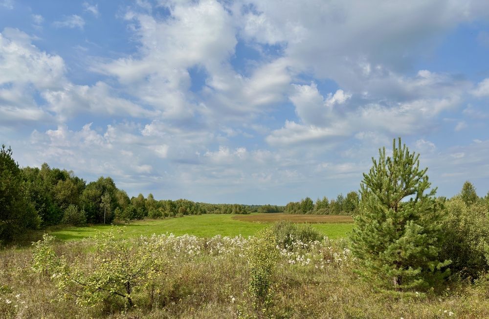 Photograph by Kuzmichev Alexey