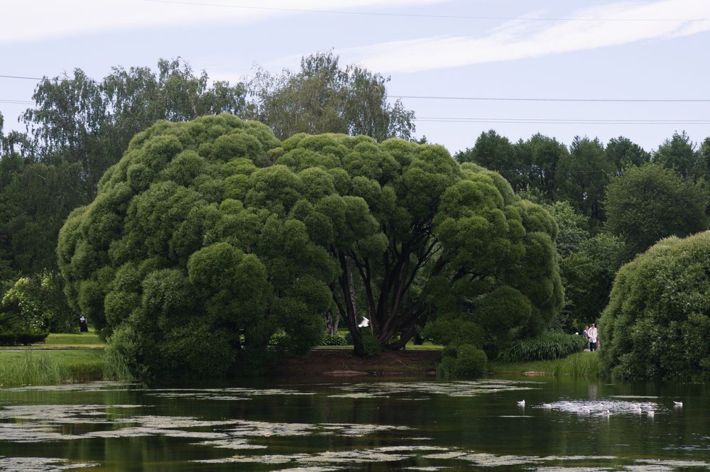 Photograph by DUBINA LEONID