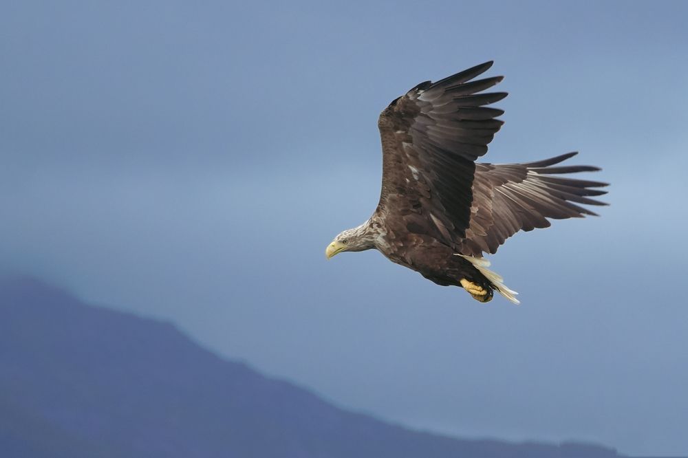 Фотография автора Jian Ma