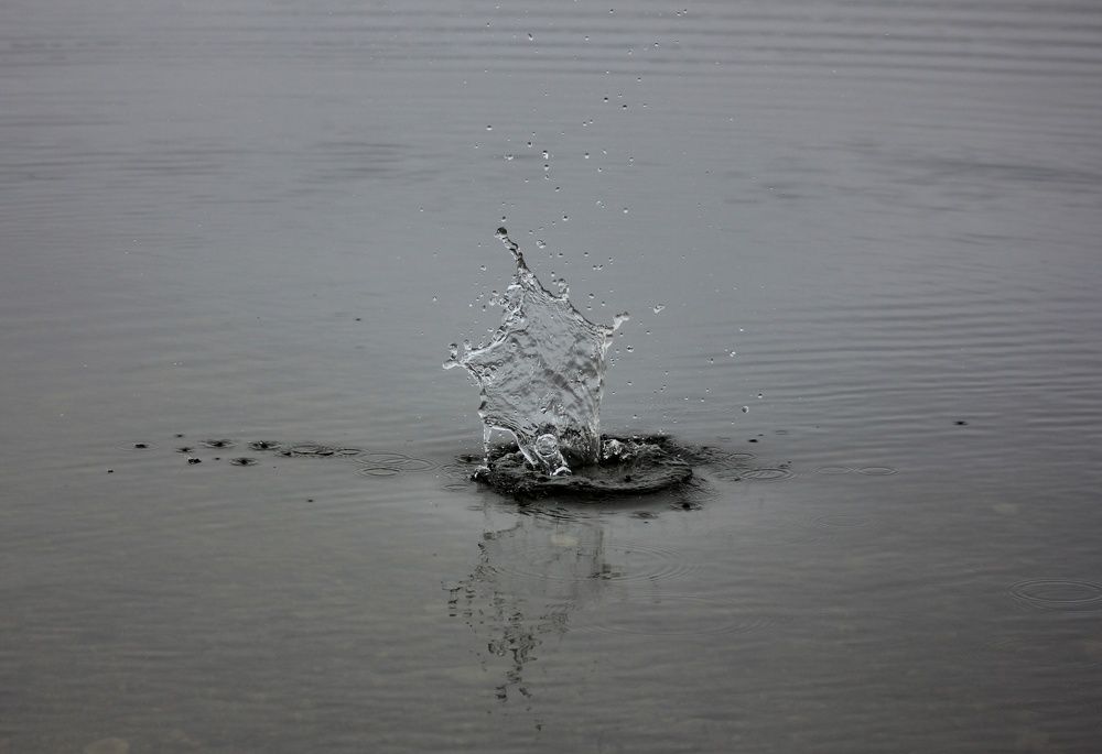 Photograph by Эльвира Лазарева