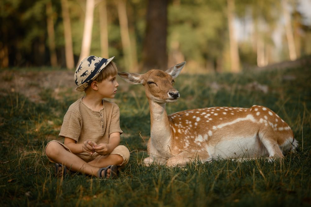 Photograph by Дарья Кончакова