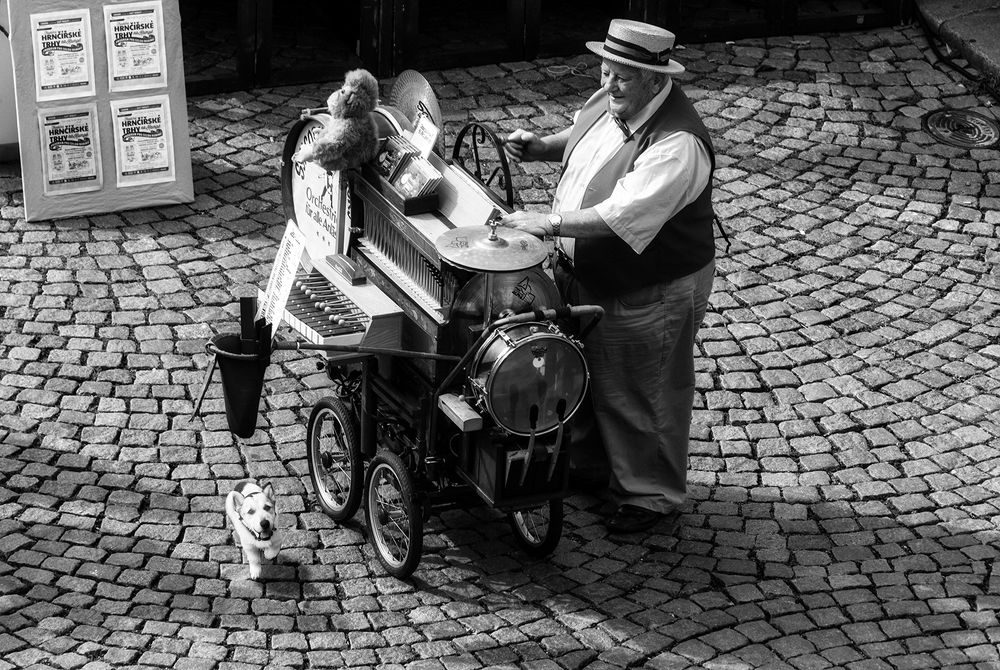 a little joy in prague